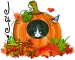 Judi Cat