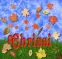 Chrissi