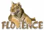 cute tiger Florence