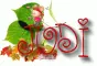 Judi