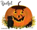 Rachel Pumpkin