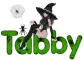 Tabby
