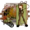 Sights Of Fall - Migdalia