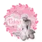 pink angel-Tabby