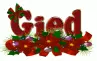 Gied