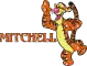 Mitchell Tigger