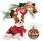 christmas cute dog  Heike