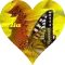 Pelia