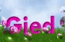 Gied
