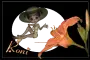 RONI
