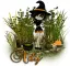 Halloween-Ady
