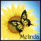 Sunflower and Butterfly - Melinda