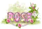 Rose