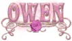 Owen-Pink rose nametag
