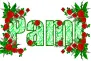 Pami - fg
