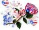 Jessica-Puerto Rican Rose
