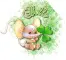 St.PattyMouse~Belle