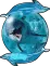 Ashley Dolphin