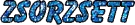 Zsorzsett name
