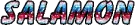 Salamon name