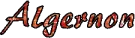 Algernon name