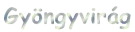 GyÃ¶ngyvirÃ¡g