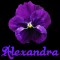 Alexandra