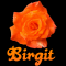 Birgit