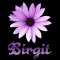 Birgit