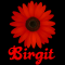 Birgit