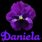 Daniela
