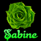 Sabine