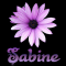 Sabine