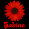 Sabine