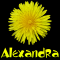 Alexandra