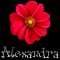 Alexandra