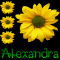 Alexandra