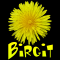 Birgit