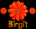 Birgit