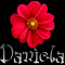 Daniela