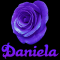Daniela