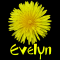 Evelyn