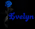 Evelyn