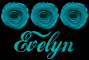 Evelyn
