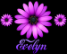 Evelyn
