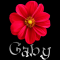 Gaby