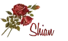 Red Roses.. Shian