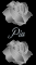Pia