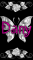 Dany