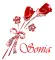 Sonia - roses